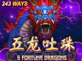 5 Fortune Dragons game screenshot